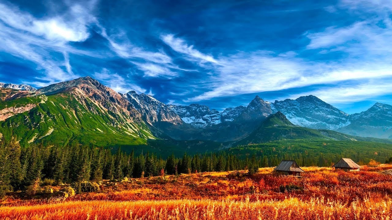 Relaxing Beautiful Music, Peaceful Instrumental Music 