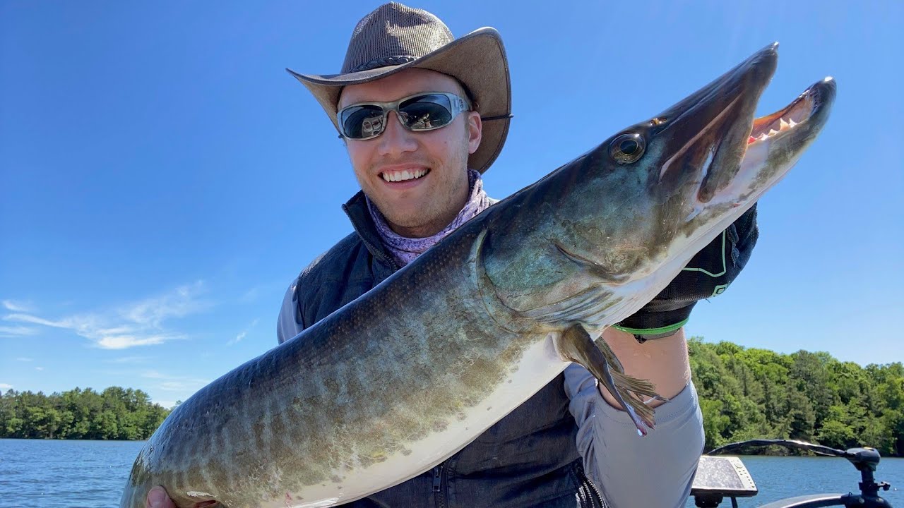 SRJ Shallow Weedline Wisconsin Musky, Spring Muskie Fishing!
