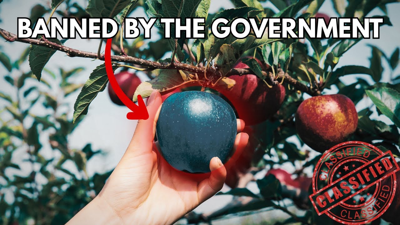 The Fruits America Tried to Erase from History