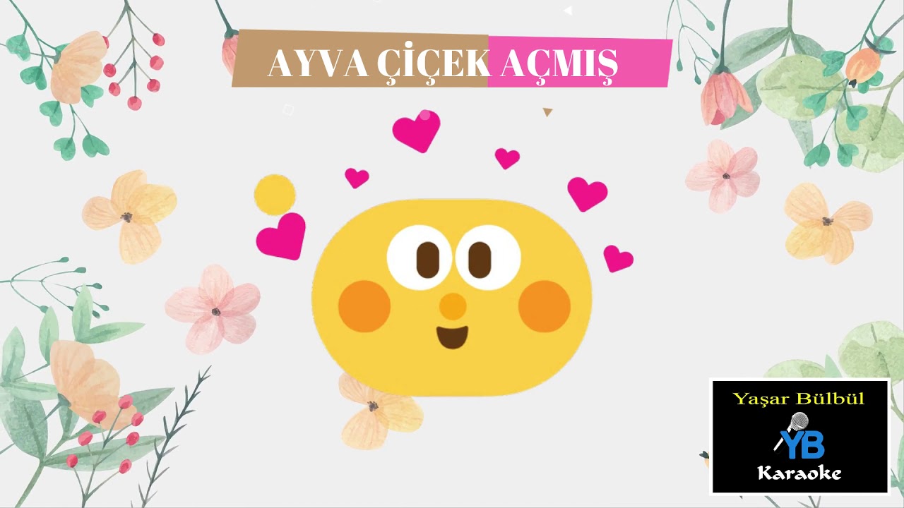 Ayva Çiçek Açmış Karaoke