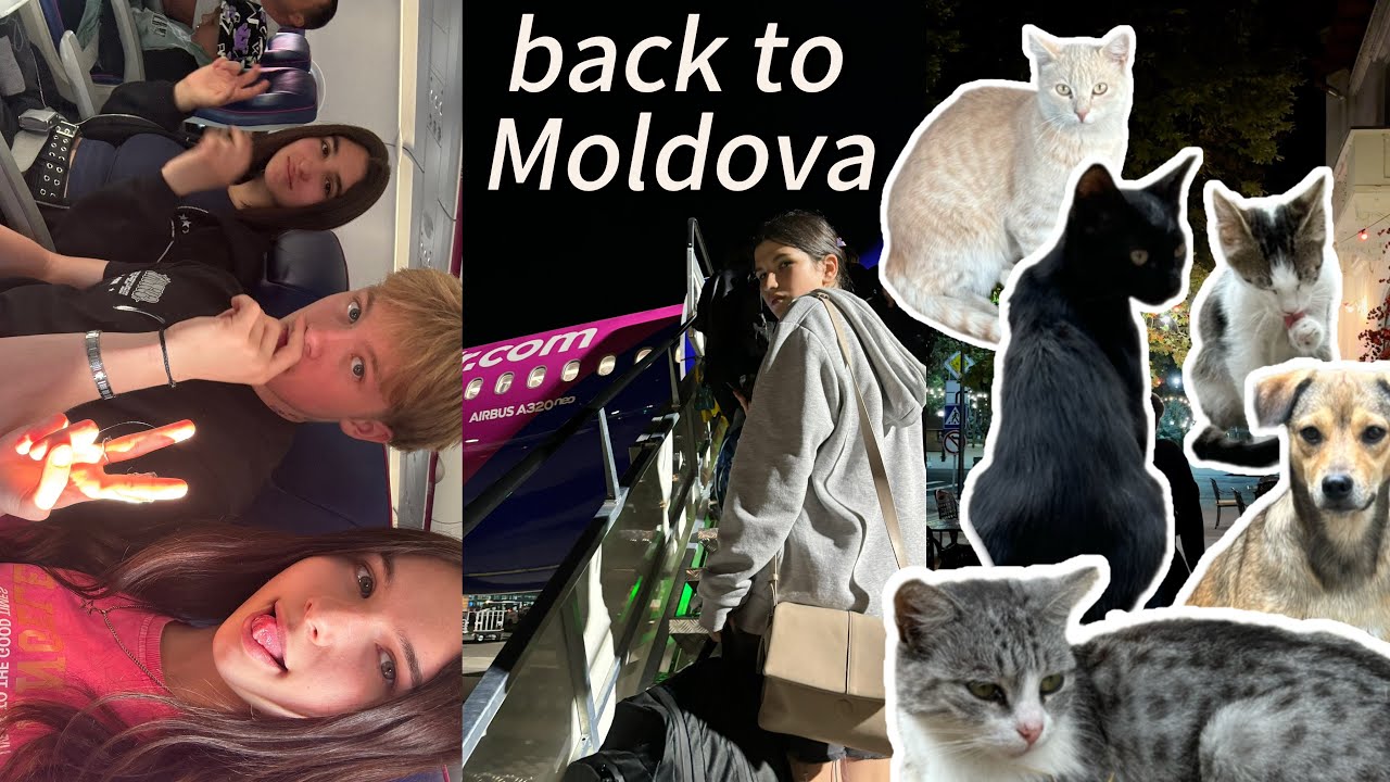 Back to Moldova vlog 🇲🇩 | каникулы в Молдове/ ПМР