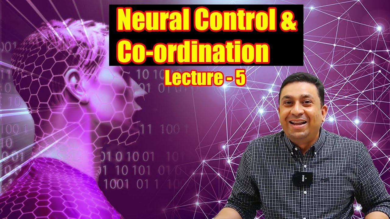Neural Control & Co-ordination l Lecture 5 l Biology l NEET
