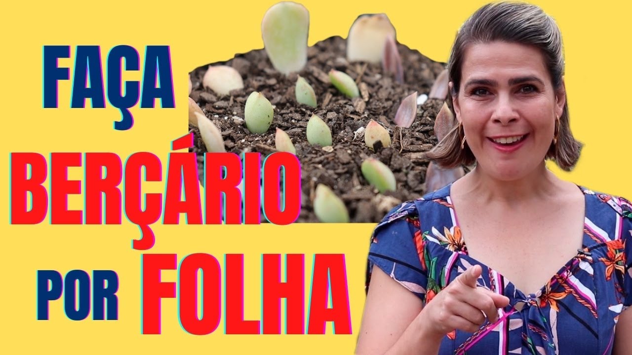 BERÇÁRIO de sucesso: MÉTODO infálível para REPRODUZIR suculentas por FOLHAS /Grazi Bittencourt