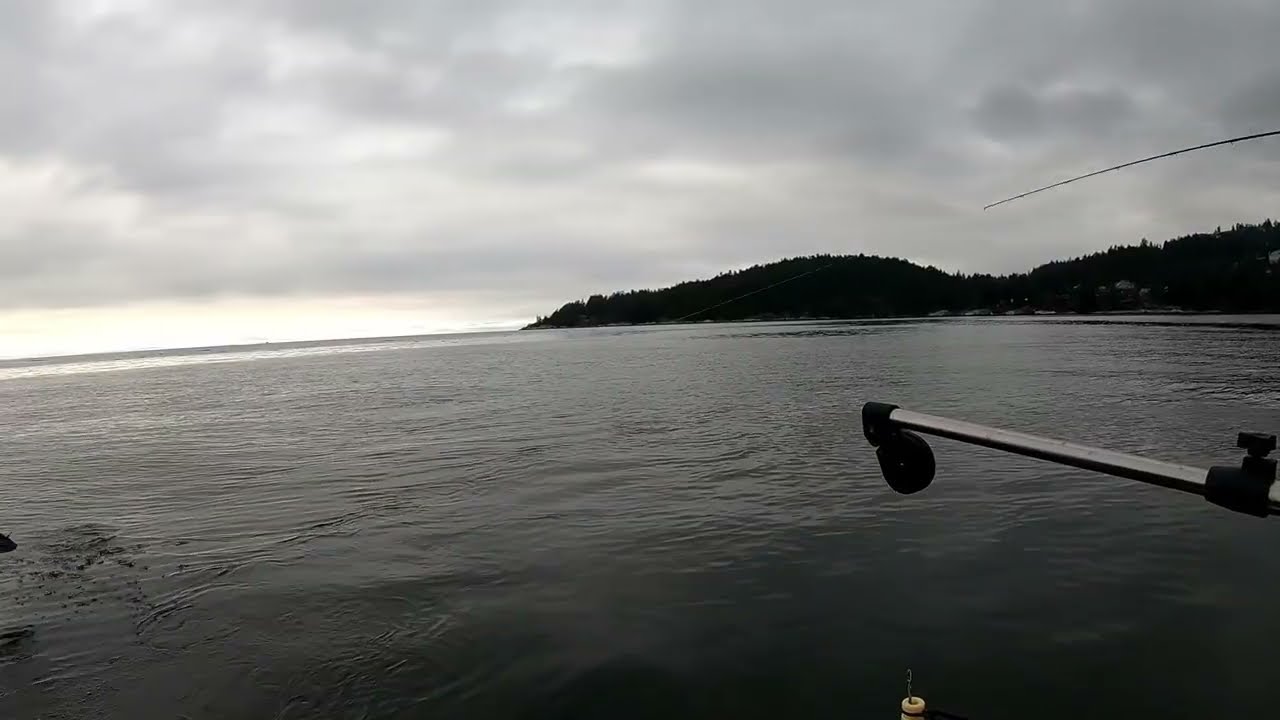 Winter Chinook salmon fishing, Vancouver BC. Roy's Fishing Charters