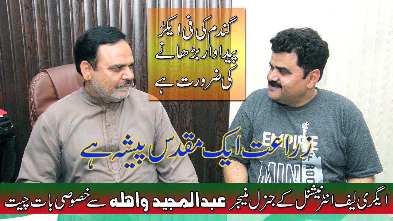 Agri Leaf International Ke GM Abdul Majeed Wahla Se Tariq Sindhu Ka Interview - Only on RKN