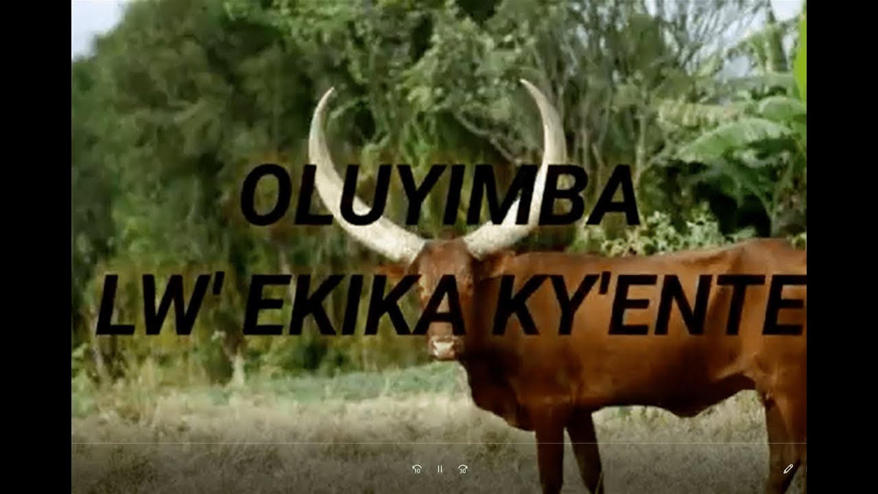 Oluyimba lw'eKika ky'Ente | Nte Clan Anthem