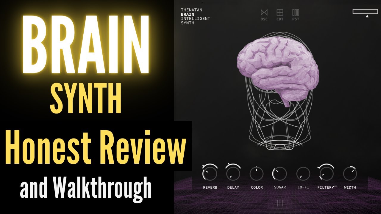 Thenatan Brain Creative Synth Review and Walkthrough