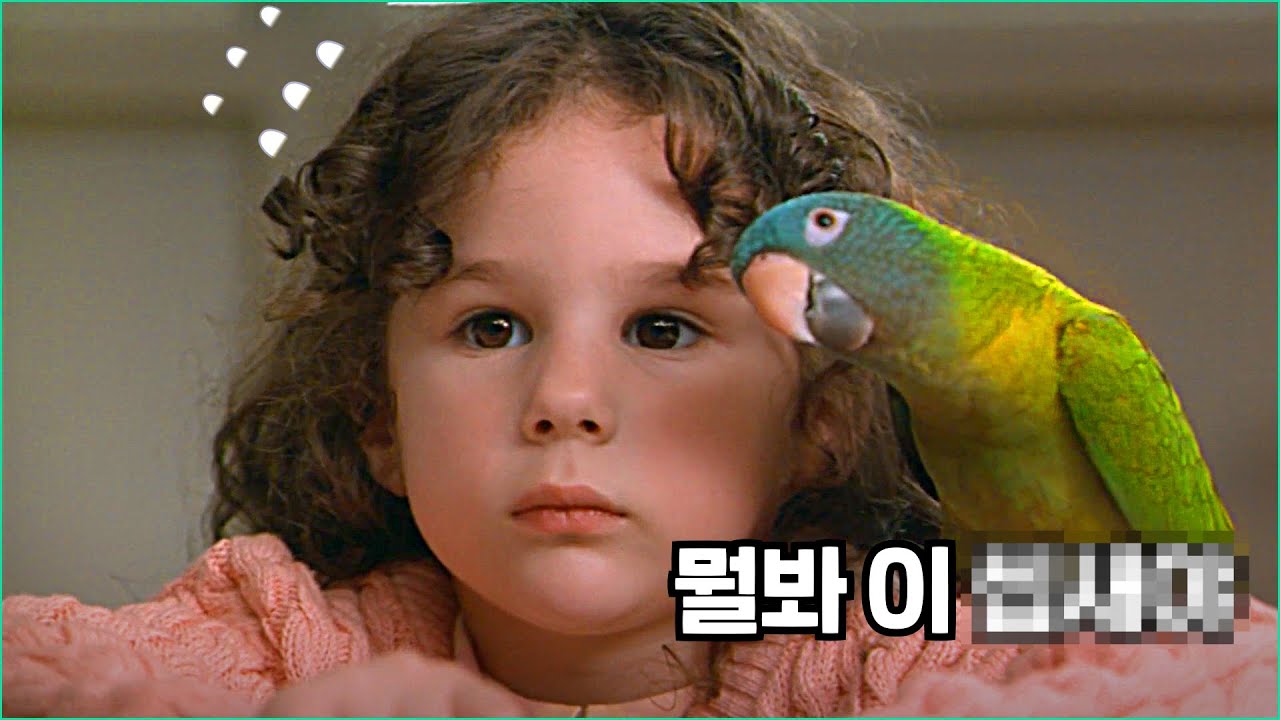 소녀와 양아치 앵무새의 눈물 나는 우정 (감동 주의) | 결말 포함