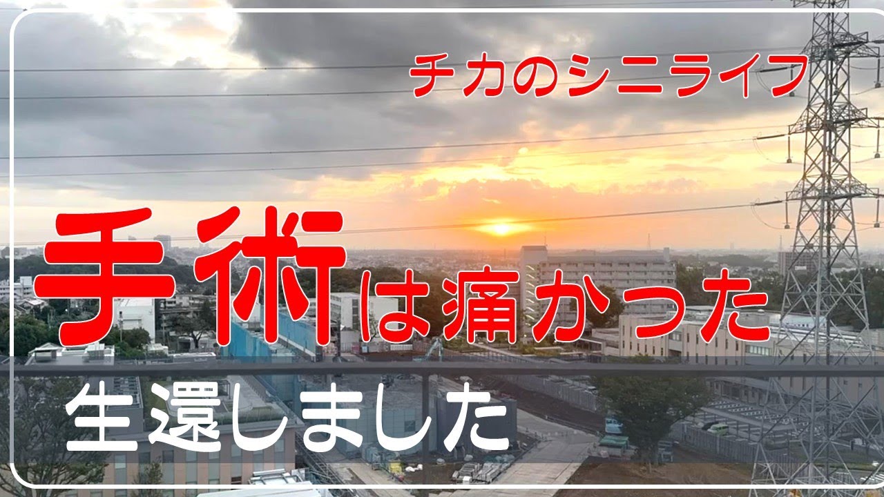 【手術は辛かった】夫が急逝　シニアVlog　お一人様　手術室から生還しました　元気になるまでゆっくりのんびり過ごします