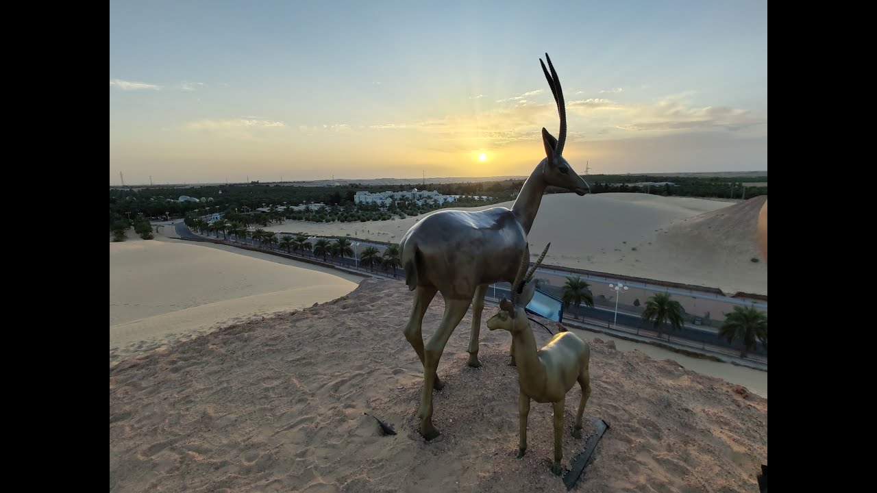 La Gazelle d´Or - El Oued - Algeria