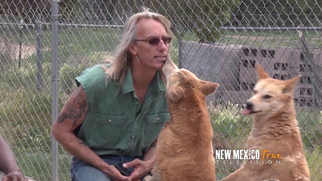 NM True TV - Wild Spirit Wolf Sanctuary