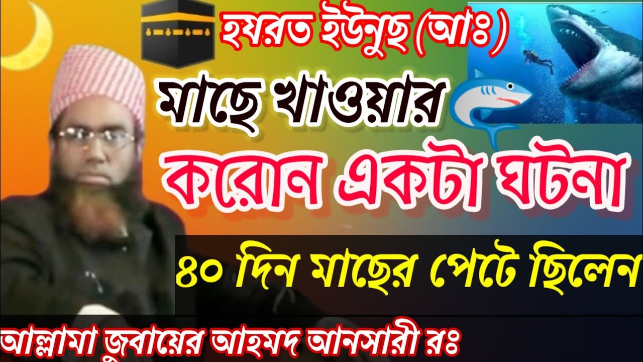 আল্লামা জুবায়ের আহমদ আনসারী রঃ মধুর সুরে ওয়াজ বাংলা ওয়াজ ইউনুস (আঃ) মাছের পেটের করোন ঘটনা আল্লাহ