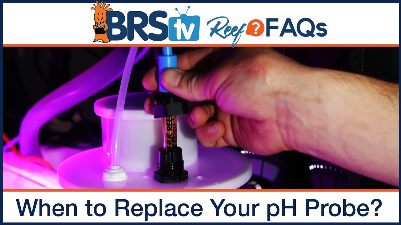 Reef tank pH - When should I replace my pH probe on my pH monitor or controller? | Reef FAQs