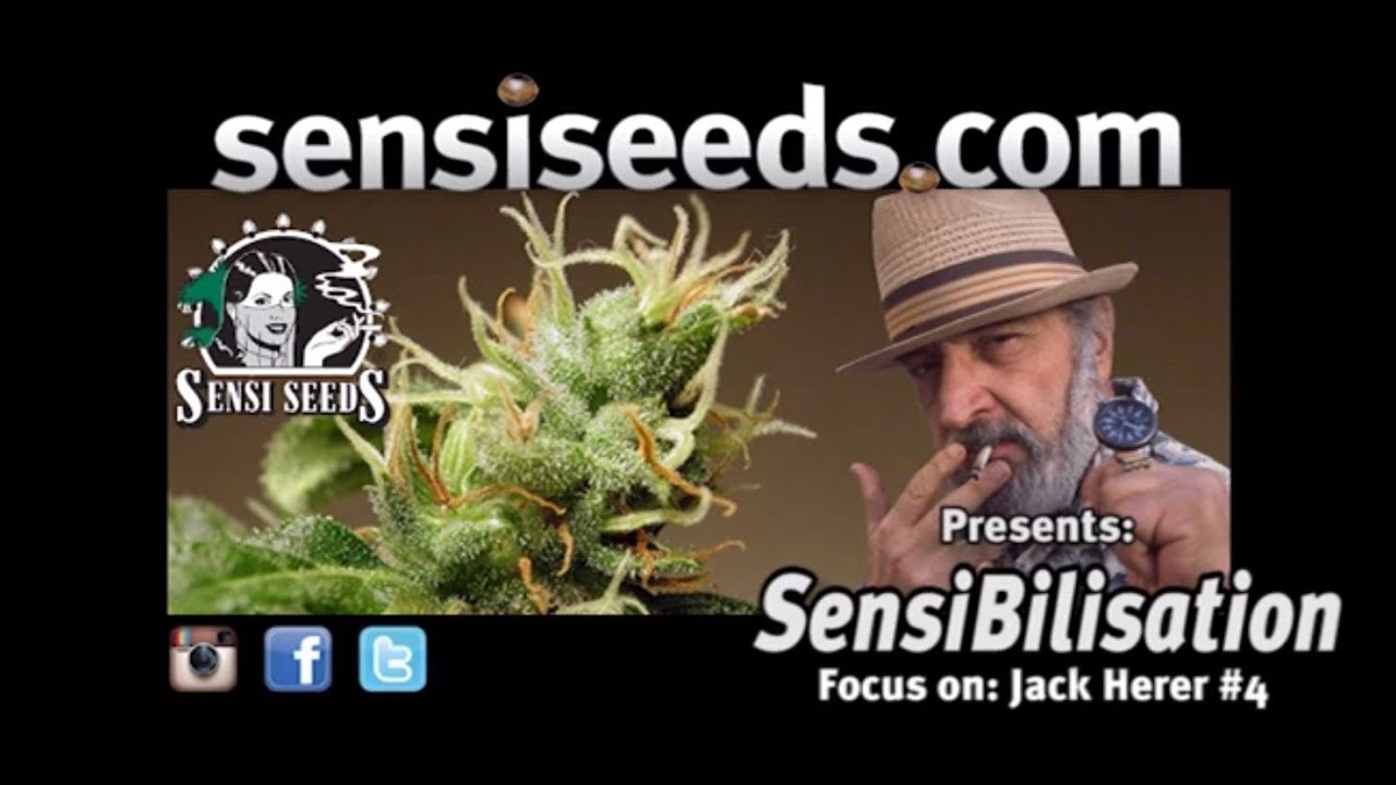 Jack Herer - The Unseen Footage: It doesn't matter if you're right!