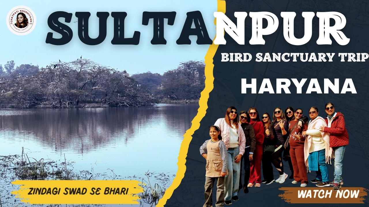 Sultanpur Bird Sanctuary | Day Picnic, Nature Walk & Potluck #trending #travel #youtubevideo #fyp
