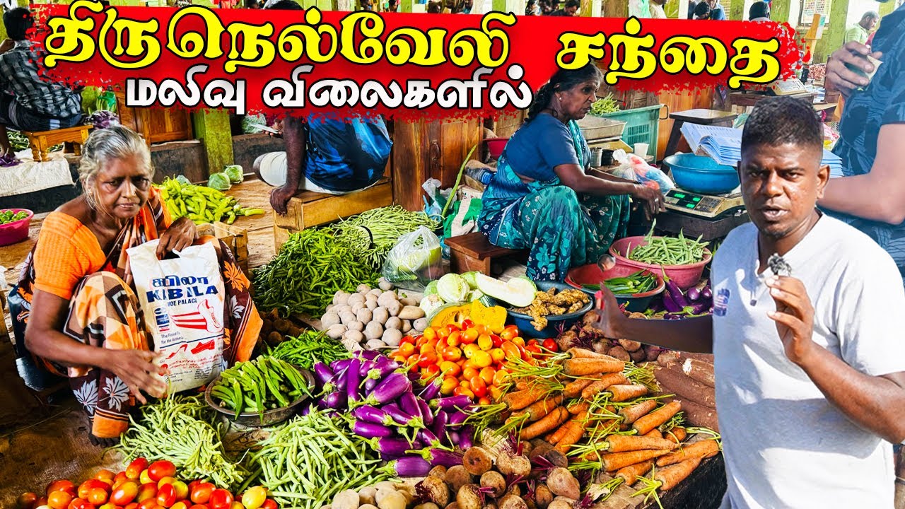 மலிந்துவிட்ட  🥕 🍆 மரக்கறிகள் நட்டத்தில் விவசாயிகள் யாழ் தின்னவெலி  Jaffna  youtubers | Tamil  Vlog