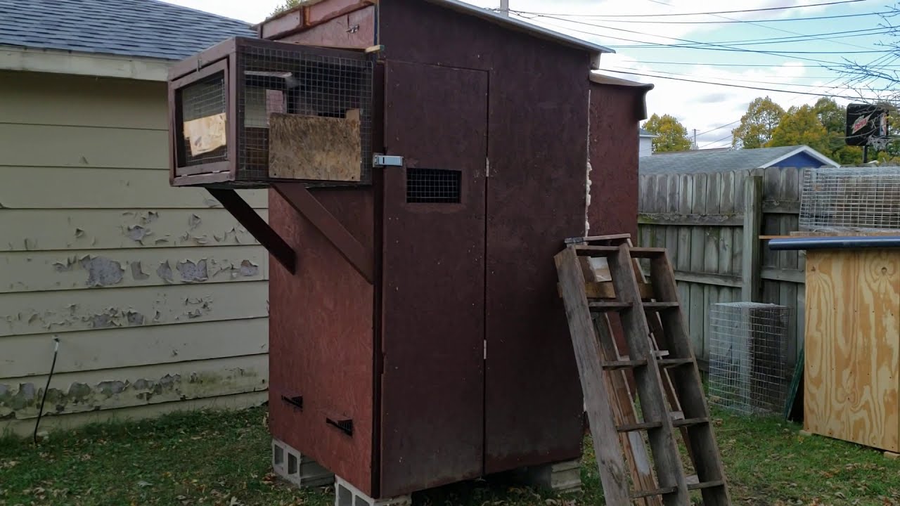 New Pigeon Loft for Thief Pouters