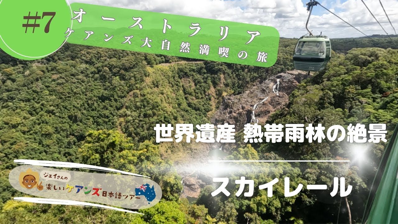 森の絶景を空中散歩　世界遺産のキュランダ観光＆スカイレール【ジェットスターで行くオーストラリア大自然満喫の旅】#7