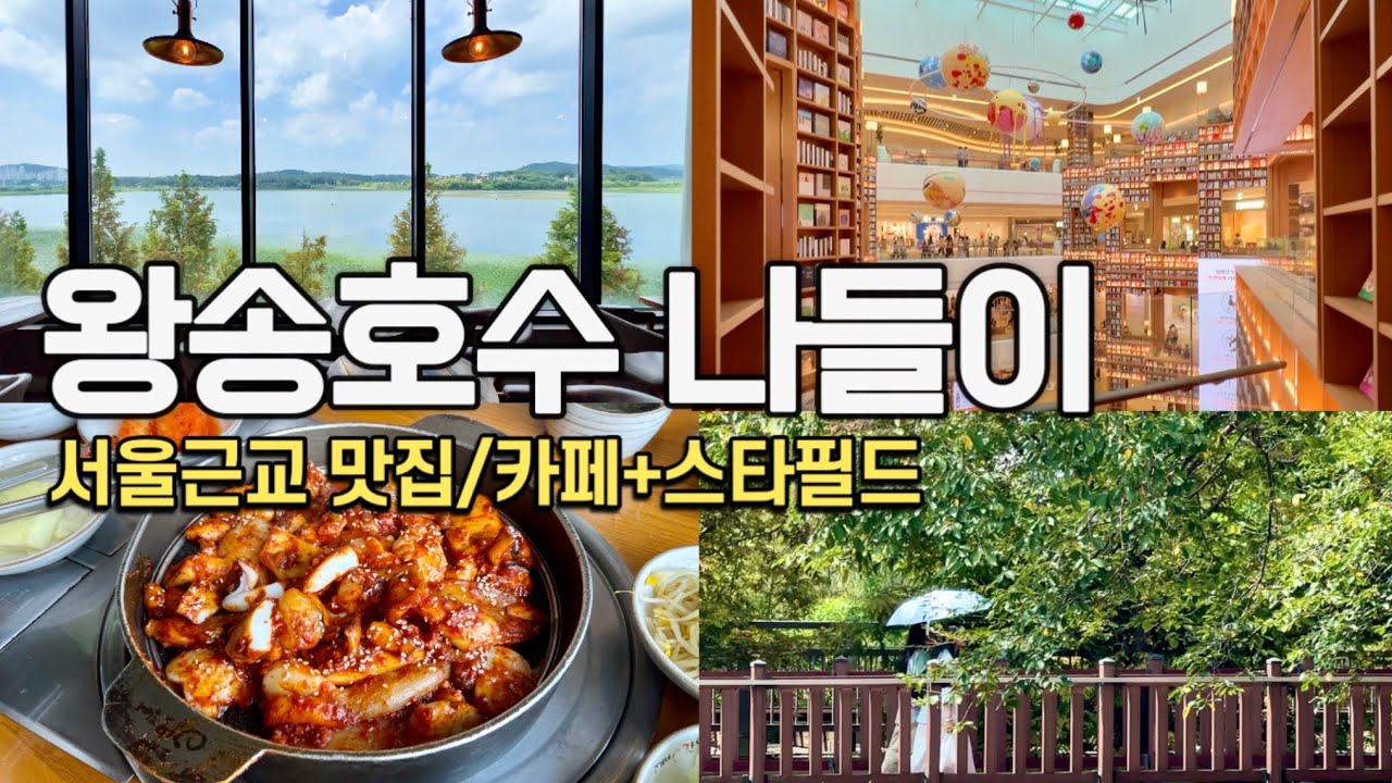 연차내고 다녀온 서울근교 가볼만한곳! 왕송호수 맛집/카페, 그리고 스타필드 수원 VLOG