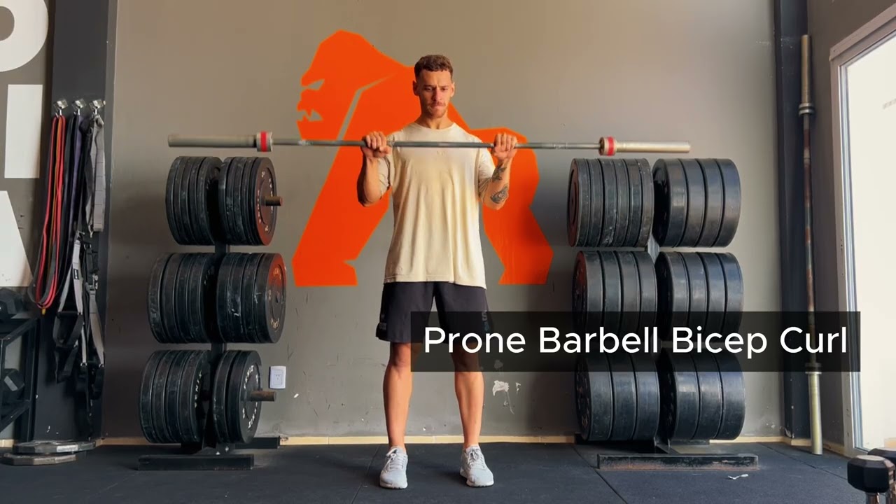 Prone Barbell Bicep Curl