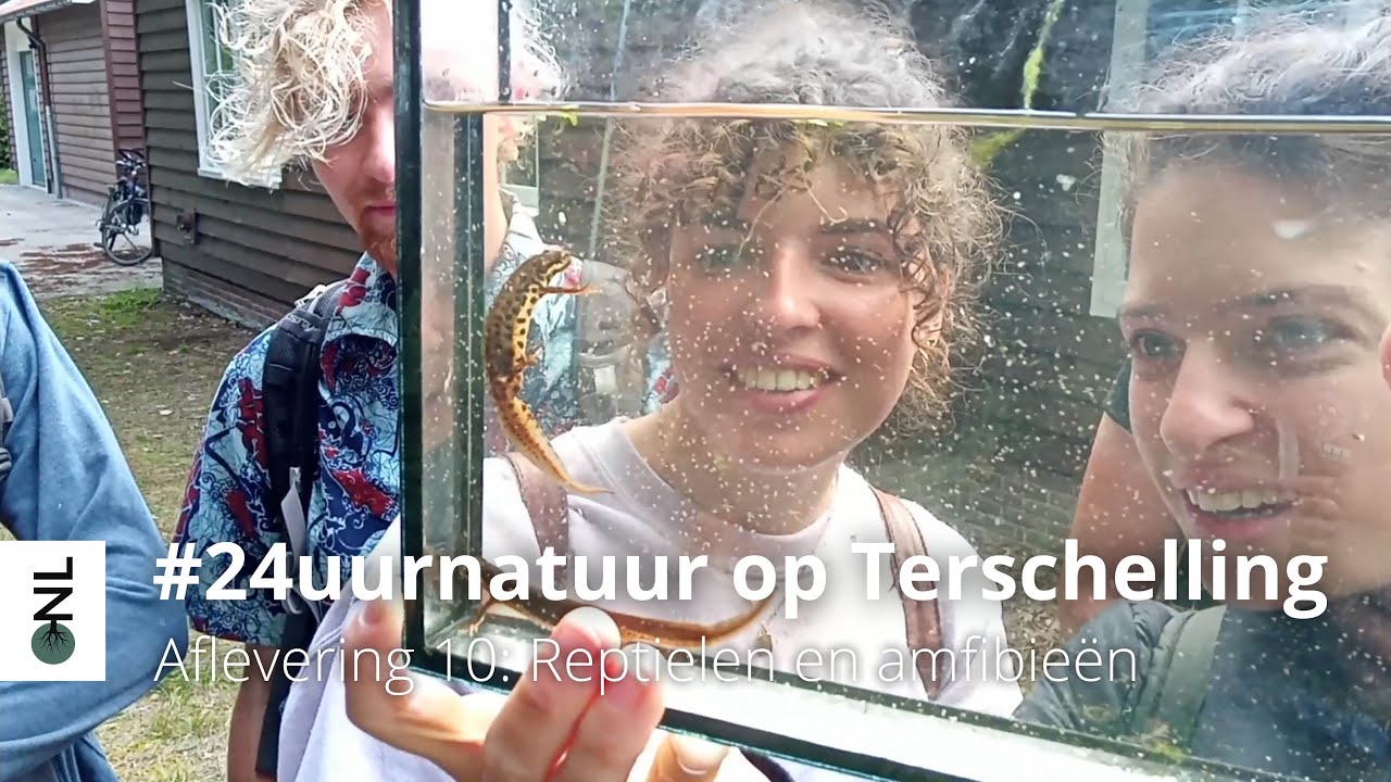 #24uurnatuur aflevering 10: Reptielen en amfibieën