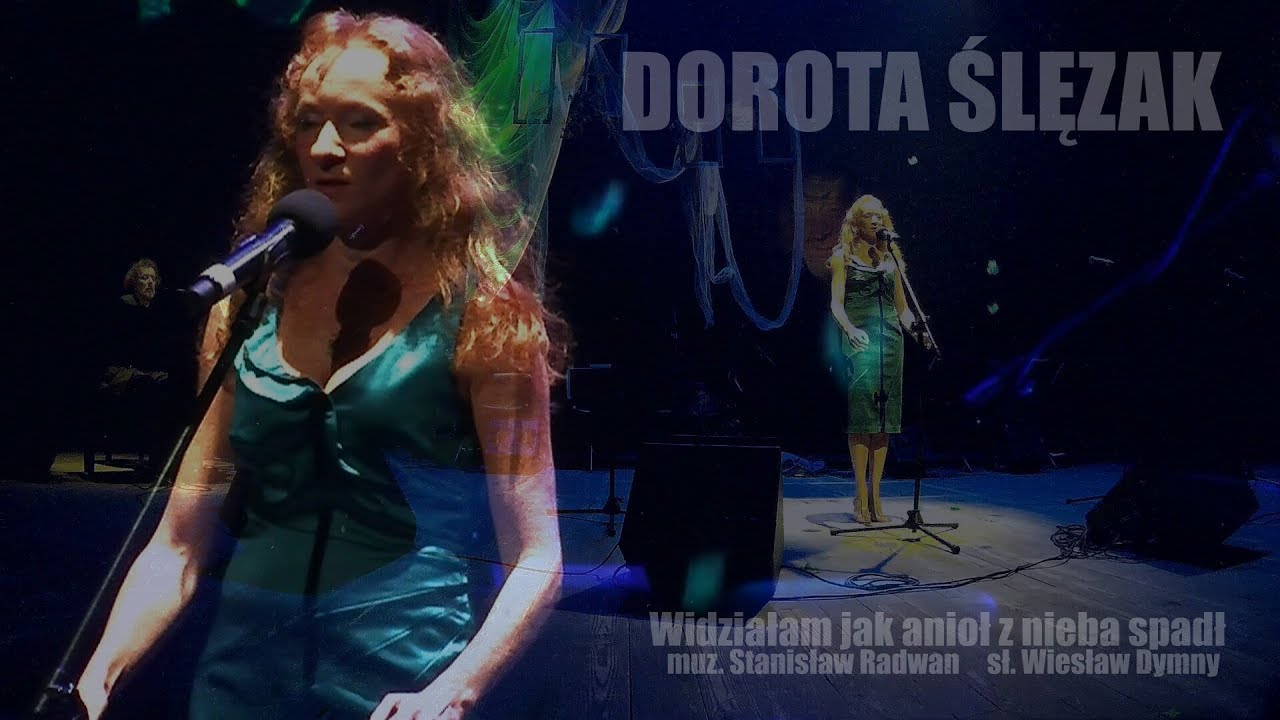 Dorota Ślęzak / Widziałam jak anioł z nieba spadł