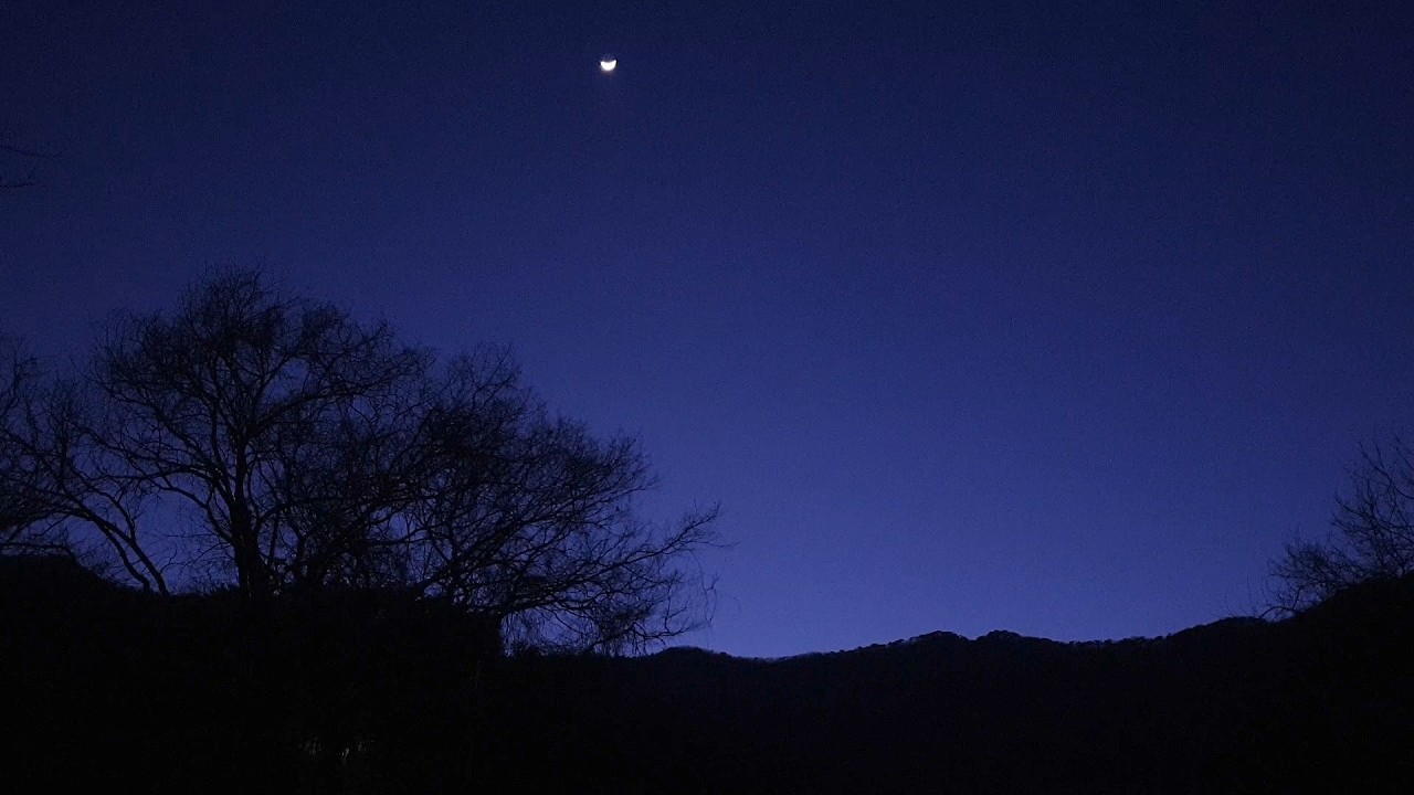 【10시간】겨울밤 계곡 물소리 🎵 l 수면 ㅣ 힐링 ㅣ 내마음 ASMR