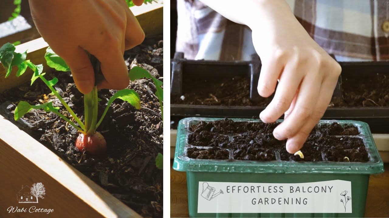 Effortless Balcony Gardening: Growing Quick Maturing Plants in Containers 4K - Wabi Cottage
