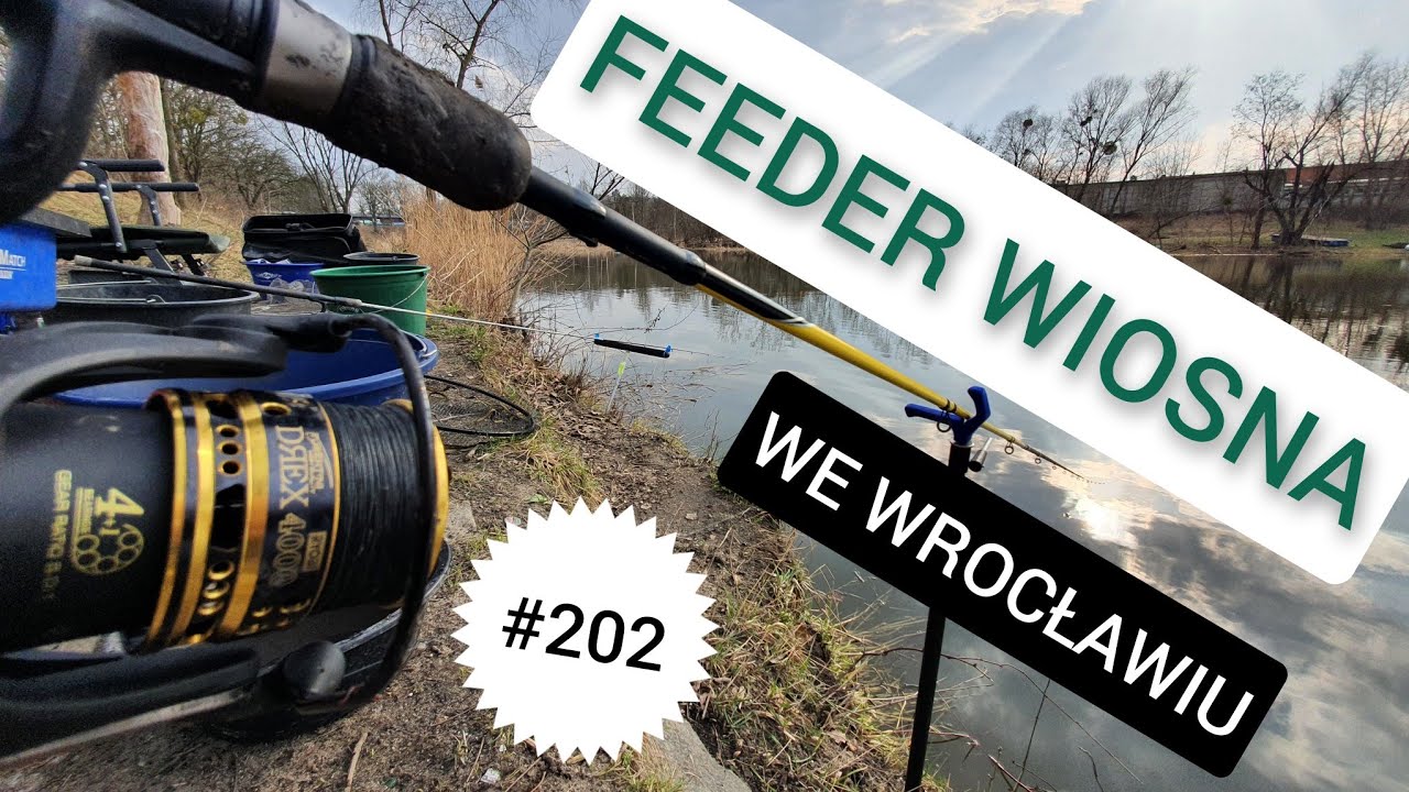 202 FEEDER WIOSNA WE WROCŁAWIU - PLAŻA 🌞🌞🌞