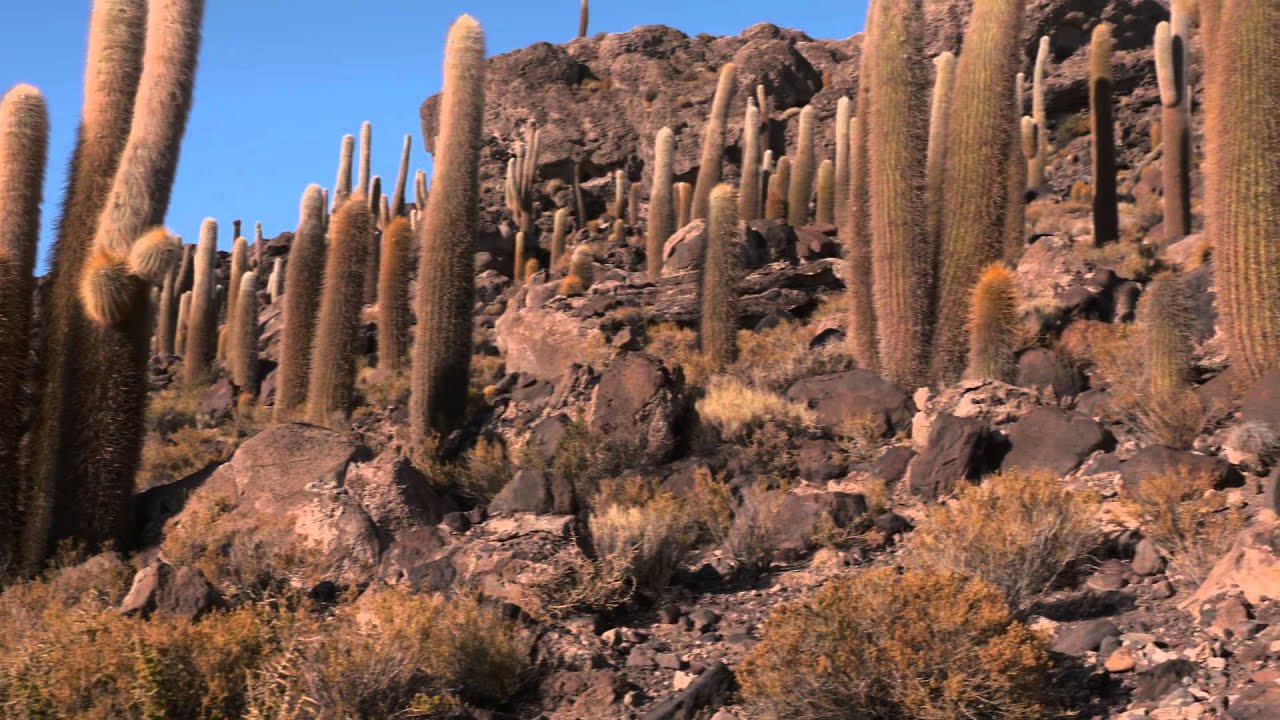 Trip to Panama and Bolivia, Part II. Full HD, Salar de Uyuni Salt Fields, La Paz, Lake Titicaca