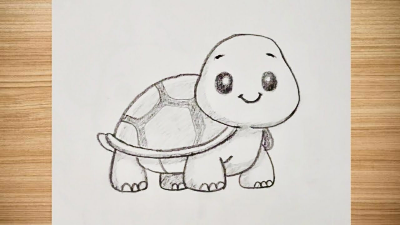How to draw a turtle 🐢 | Easy drawing