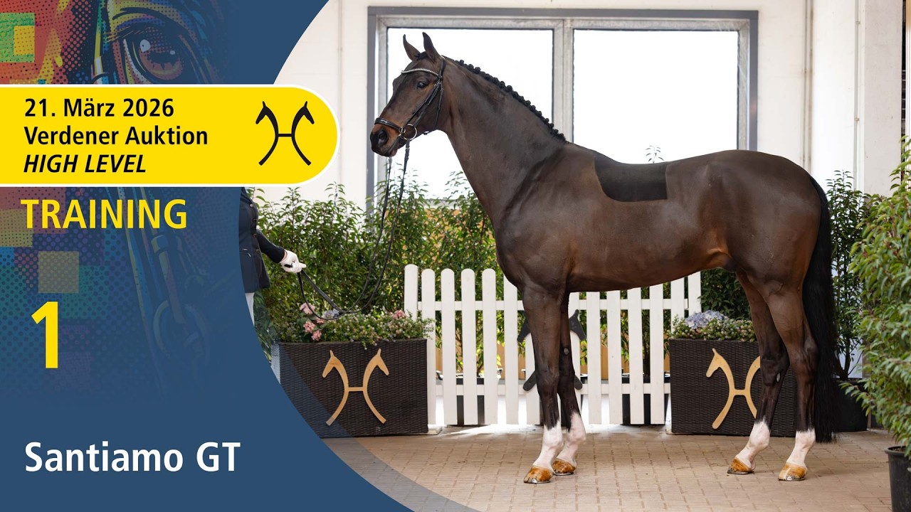 No. 1 Santiamo GT by Spörcken - Fürst Piccolo | High Level Auction - OnLive - March, 21