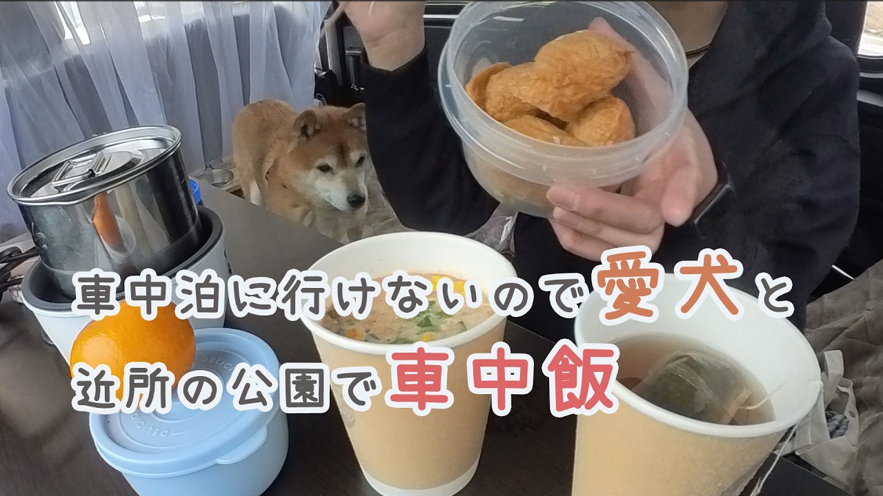 寒くて車中泊に行きたくないので近所の公園で愛犬と車中飯をしてみた#柴犬 #車中泊 #車中飯 #ぼっち女