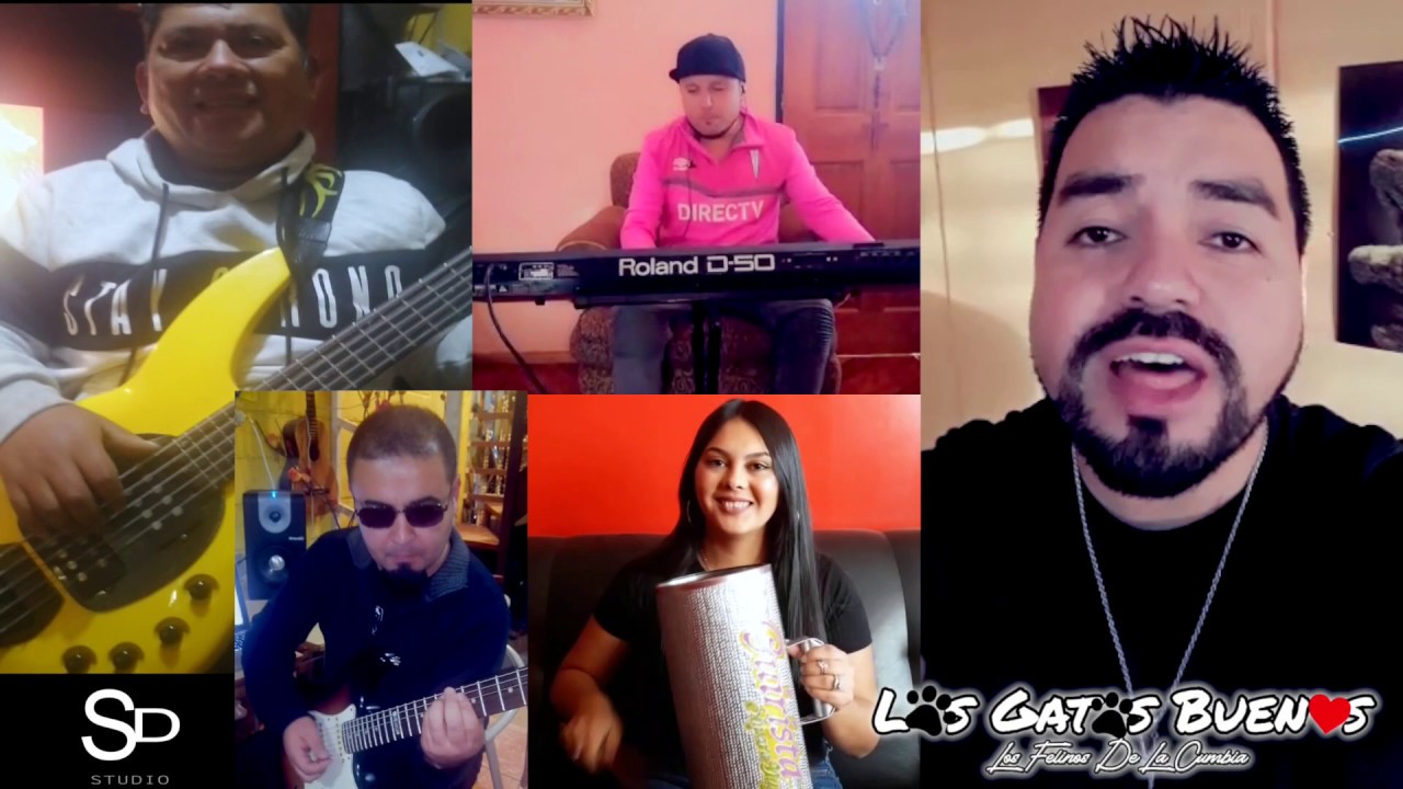 MIX GATOS BUENOS,TROPICAL SOUND Y FUSIÓN TROPICAL- Quédate en Casa