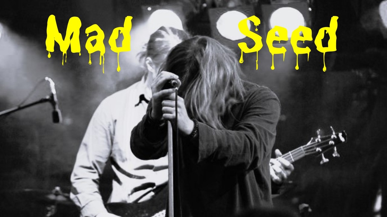 MadSeed - Bad Taste (2010)