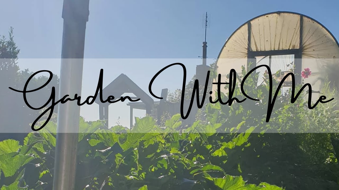 Garden with me ep 5 - Sowing Autumn seeds