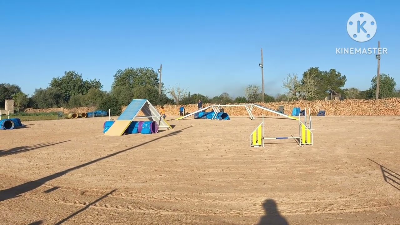 PRUEBA PUNTUABLE LIGA BALEAR 2026 C.A. MITJANIT. ADA ASAP  INKY / Juez Javier Márquez 