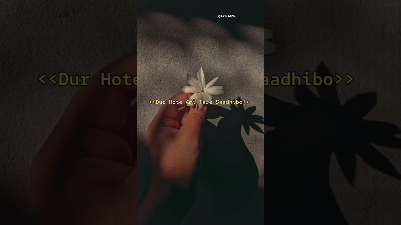 Short video with Bangla song😌👀 🌼✨||#bangla #lyrics #flower #status #short #video