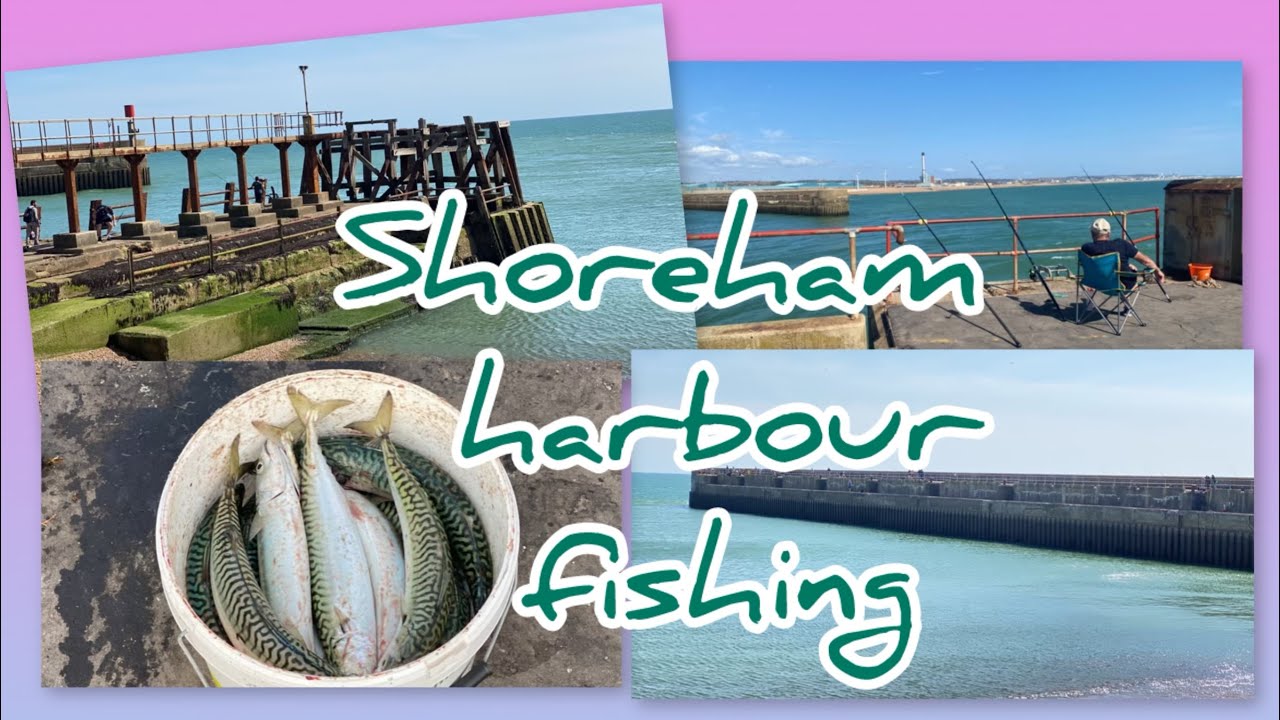 Shoreham by the sea | Harbour Fishing | UK sea fishing | Mackerel fishing ​⁠@SeaFishingVideo