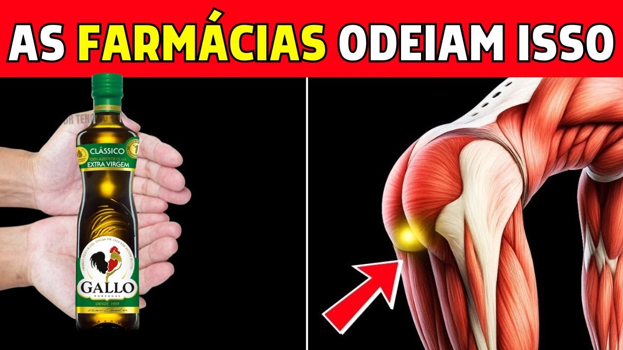 1 Colher de Azeite de Oliva em Jejum – O Que Realmente Acontece no Seu Corpo