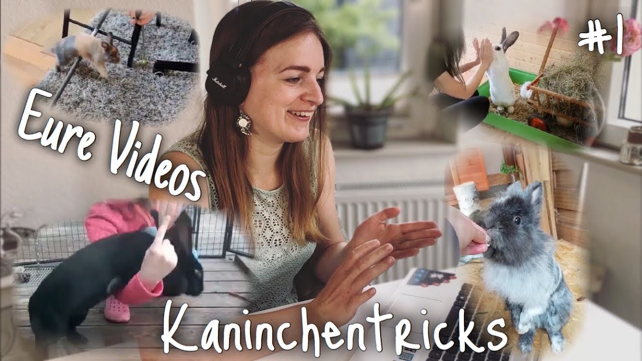 Kaninchentricks | Eure Videos