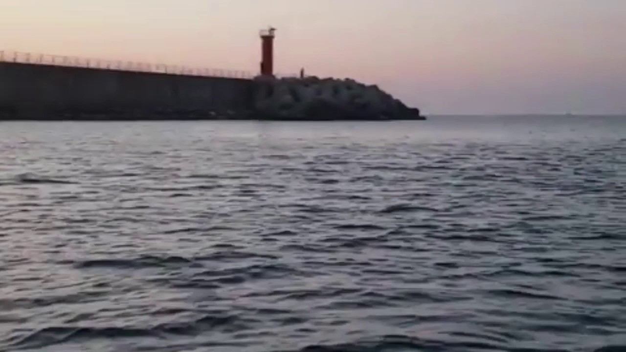[울진 플랫피싱] 광어 탐사