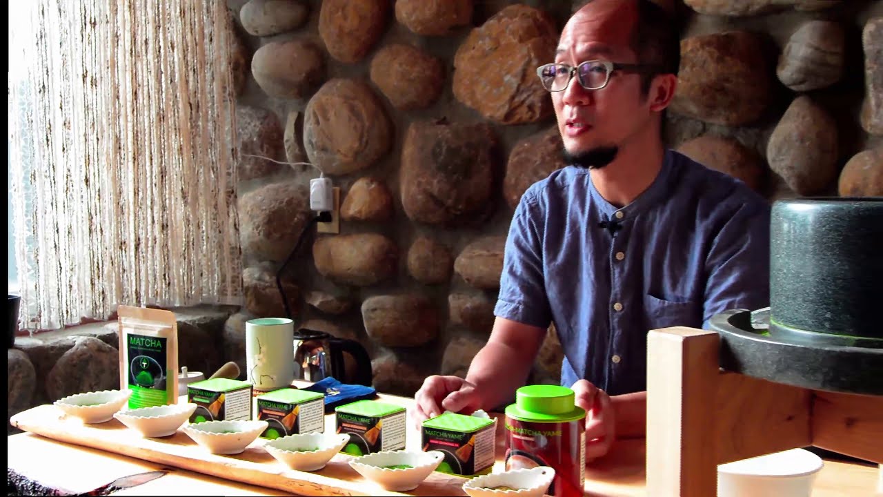 Démysification du Matcha - du théier à la tasse