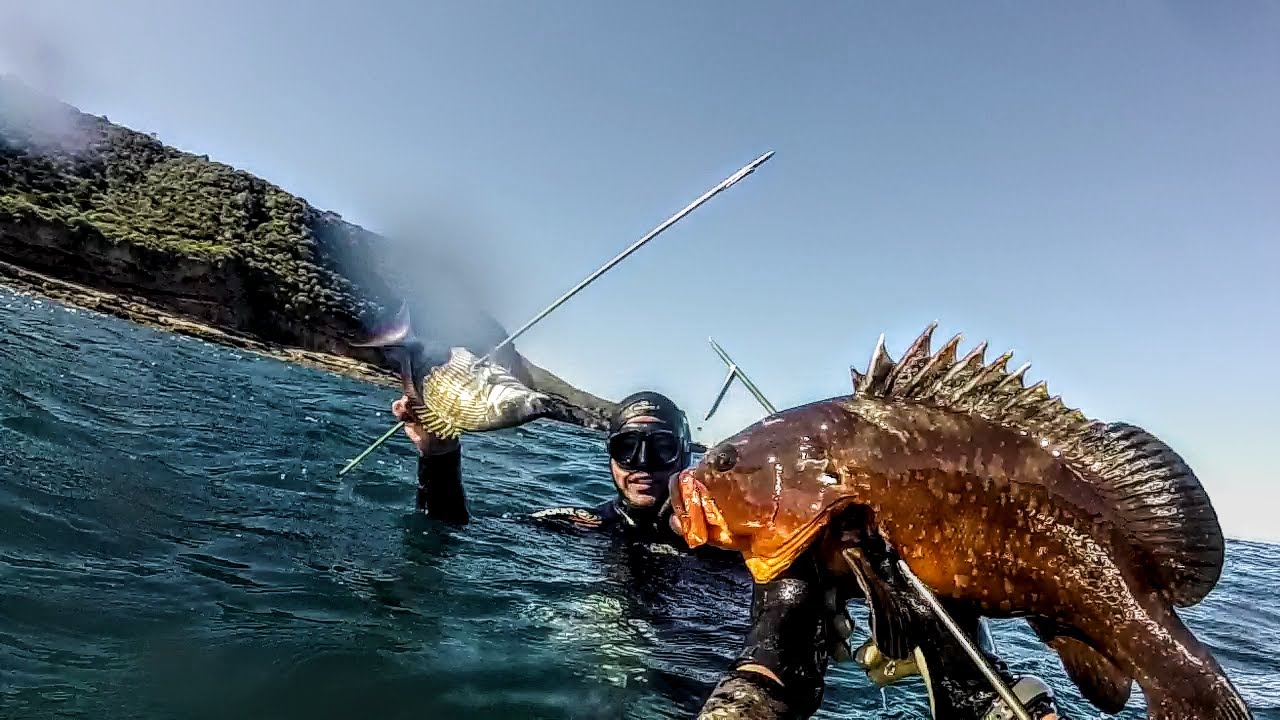 خرجة صيد تحت مائي - عين الترك - وهران / Chasse Sous Marine Oran Algerie / SPEARFISHING ALGERIA