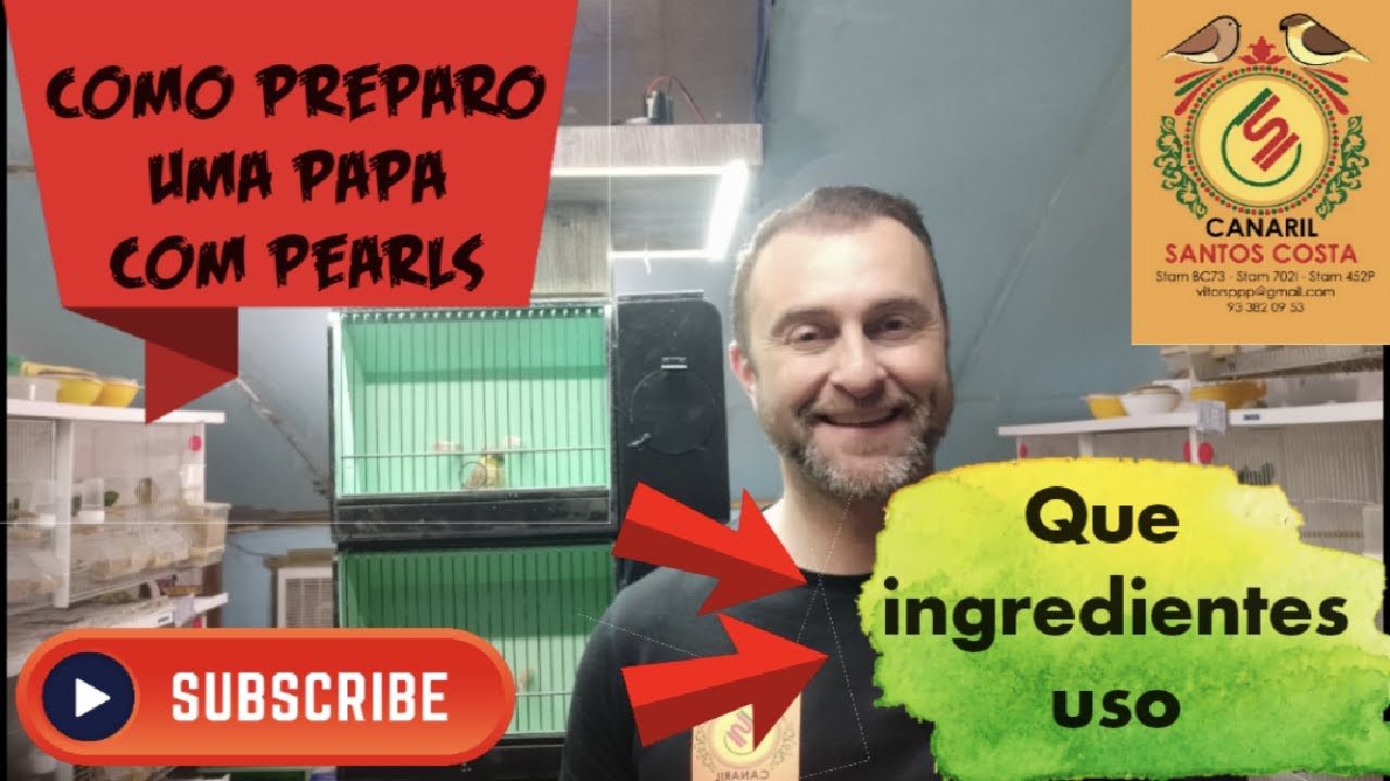 Como preparo uma papa com pearls