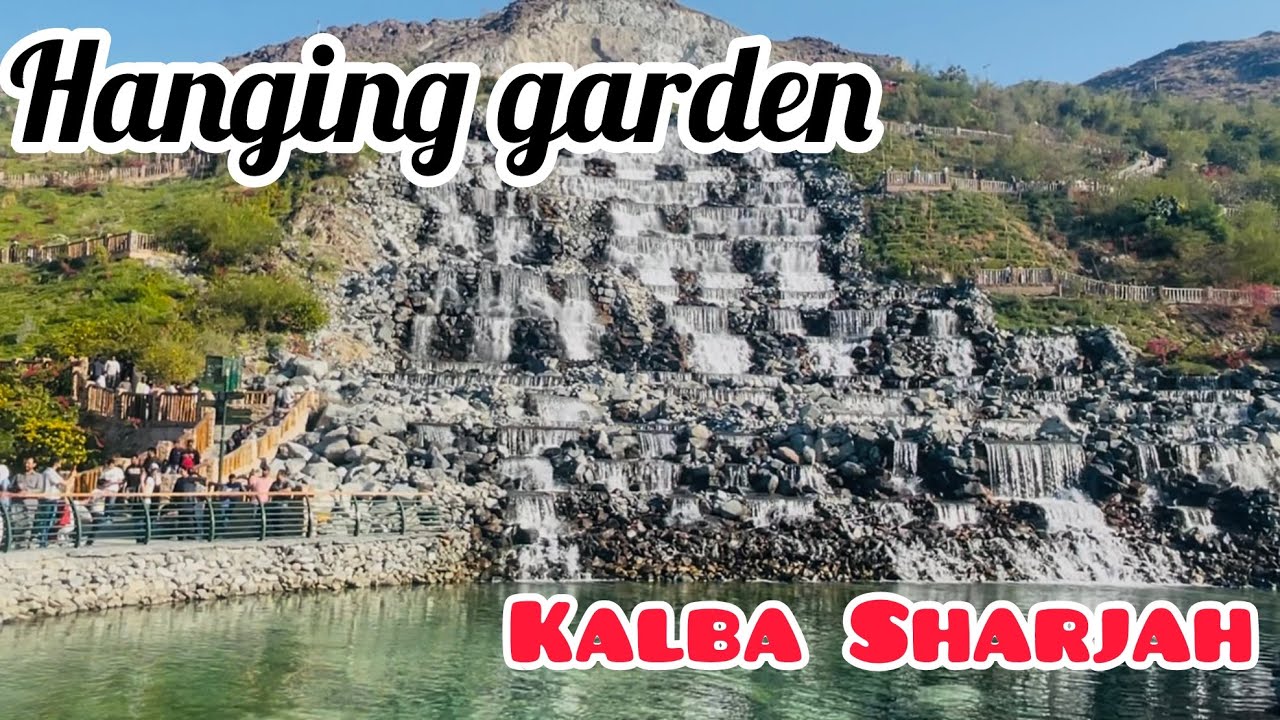 Hanging garden Kalba Sharjah | Must visit place in Sharjah | New attraction in UAE