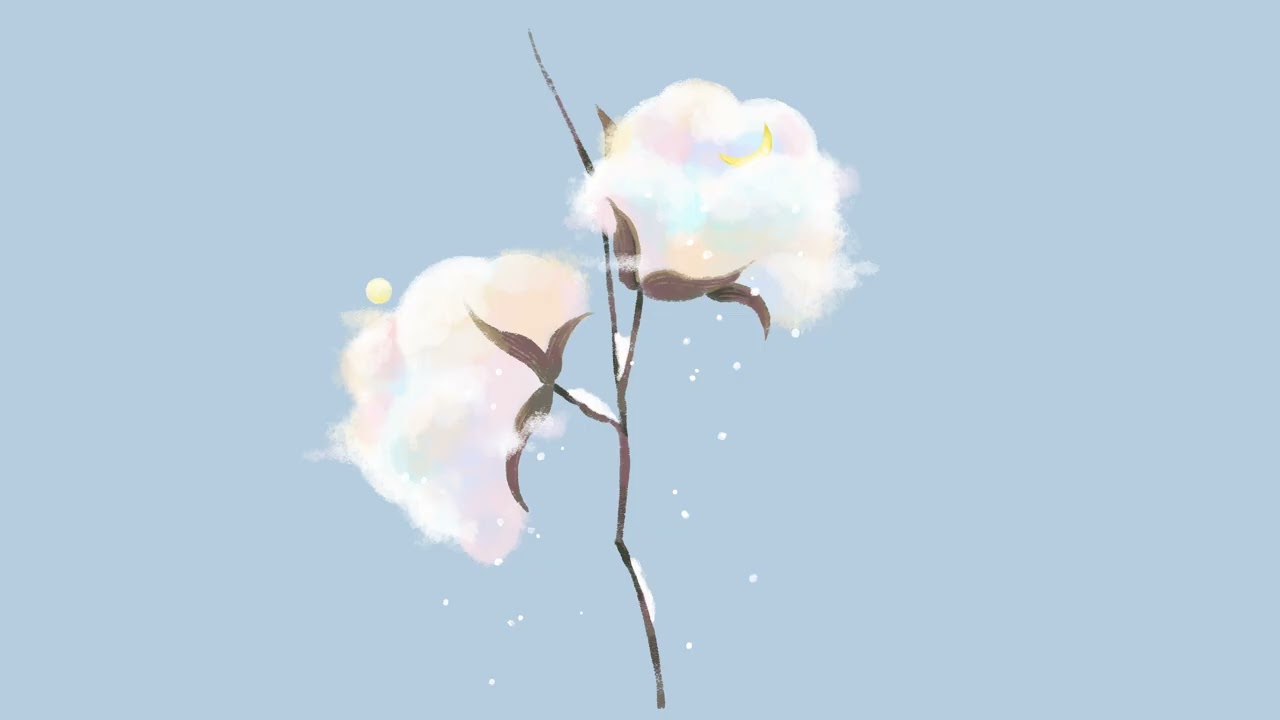 雪花 / conoi