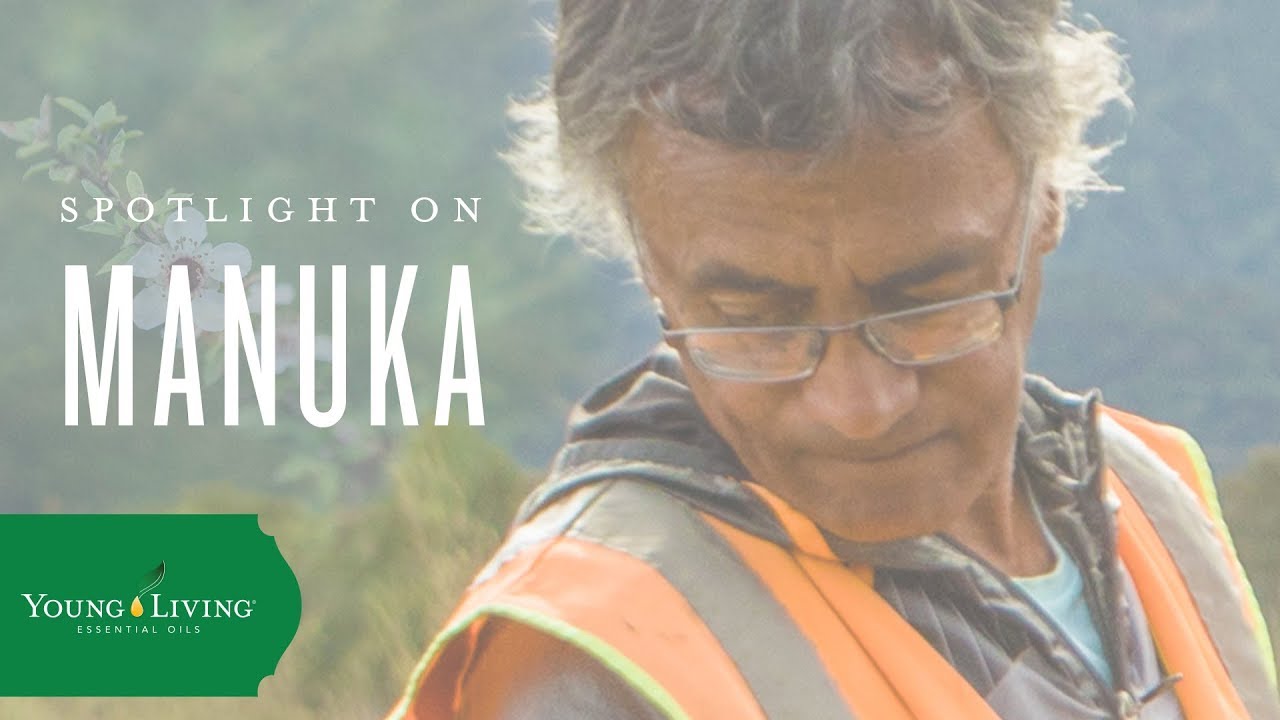 Discover Manuka | Young Living Essential Oils