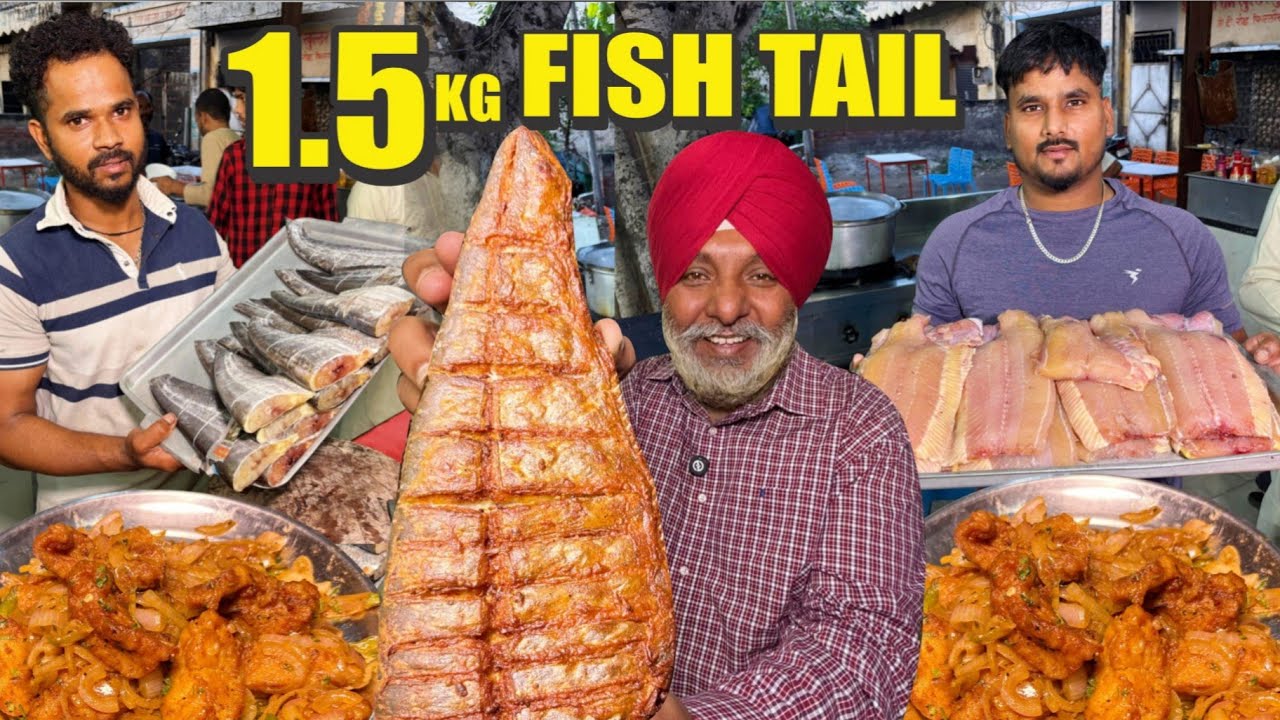 Most Famous Fish Wala on Delhi GT Road | Best Non Vge on Highway | Punjabi Street Food India