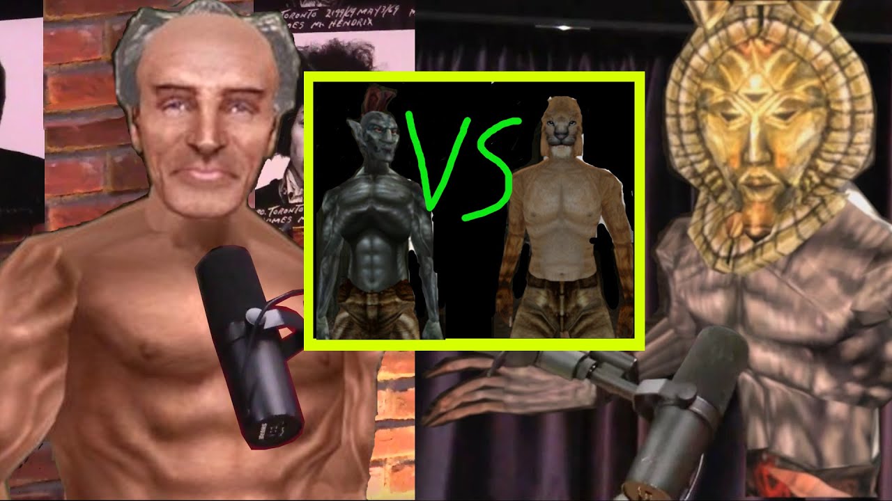 Dagoth Ur on the Racial Wage Gap